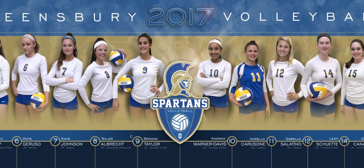 Queensbury Volleyball poster design by Andy Camp